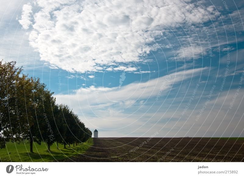 avenue. Landscape Sky Clouds Autumn Tree Field Tower Lighthouse Lanes & trails Esthetic Infinity Blue Protection Equal Avenue Row of trees Water tower Shadow