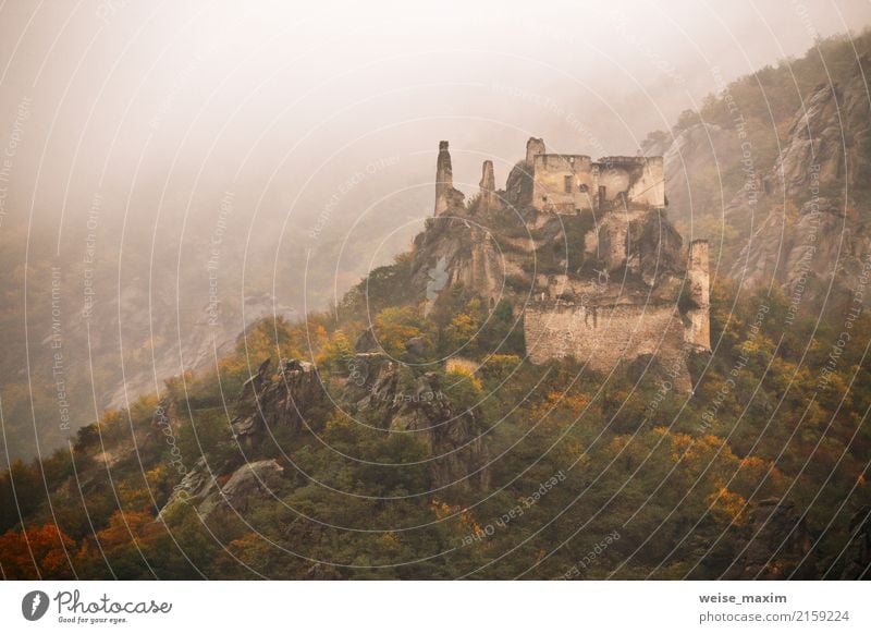 view of historic castle ruin, colorful autumn Vacation & Travel Tourism Trip Adventure Mountain Hiking Landscape Autumn Fog Rain Tree Park Forest Hill Alps