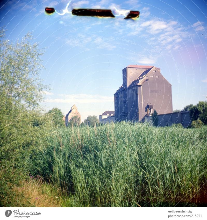 Harbour in the green Trip Expedition Nature Plant Sky Clouds Grass Bushes River bank Channel Common Reed Leipzig Port City Outskirts Deserted High-rise