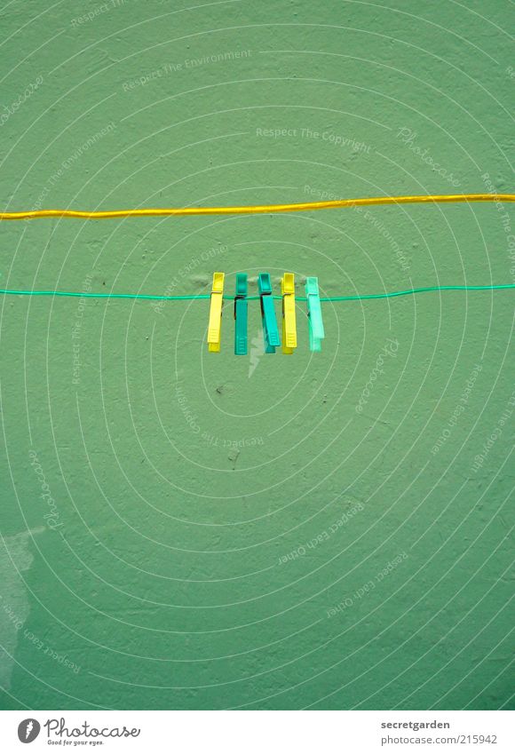 [HH 10.1] yellow-turquoise-turquoise-yellow-green. Living or residing Wall (barrier) Wall (building) Plastic Line Yellow Green Together Orderliness Cleanliness