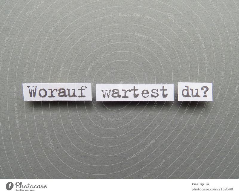 What are you waitin' for? Characters Signs and labeling Communicate Wait Sharp-edged Gray White Emotions Moody Anticipation Patient Curiosity Beginning