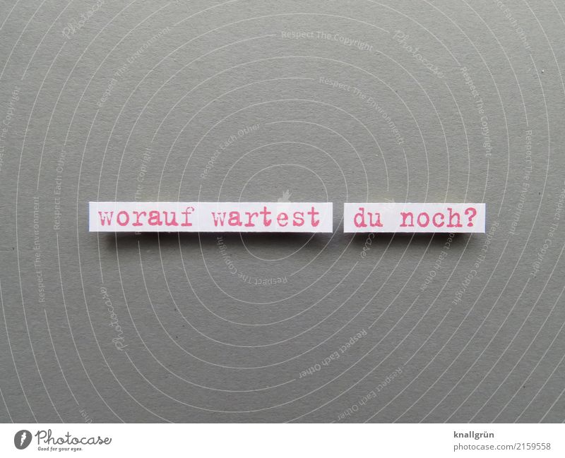 what are you waiting for? Characters Signs and labeling Communicate Wait Sharp-edged Gray Red White Emotions Anticipation Brave Determination Caution Patient