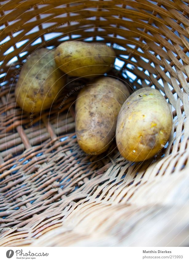 potatoes Food Nutrition Organic produce Vegetarian diet Esthetic Potatoes Basket Raw Supply Storage tank Colour photo Exterior shot Close-up Detail Deserted