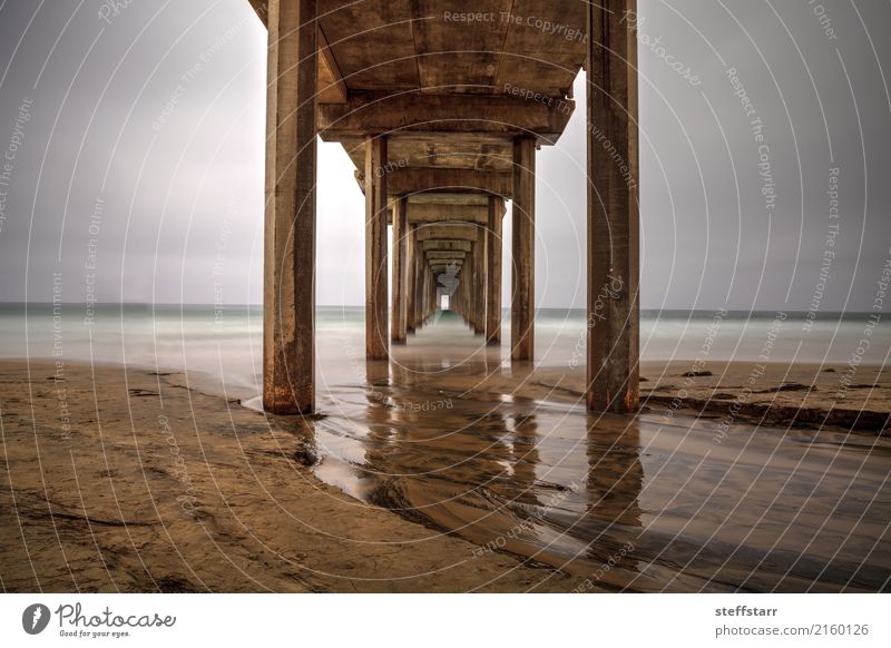 Under the Scripps pier in La Jolla Trip Summer Ocean Clouds Coast Beach Port City Lanes & trails Sand Concrete Water Blue Brown Yellow Gold Scripps Beach Jetty