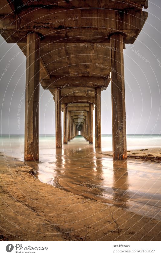 Under the Scripps pier in La Jolla Trip Summer Ocean Nature Landscape Clouds Coast Beach Lanes & trails Vacation & Travel Blue Brown Gold Loneliness water