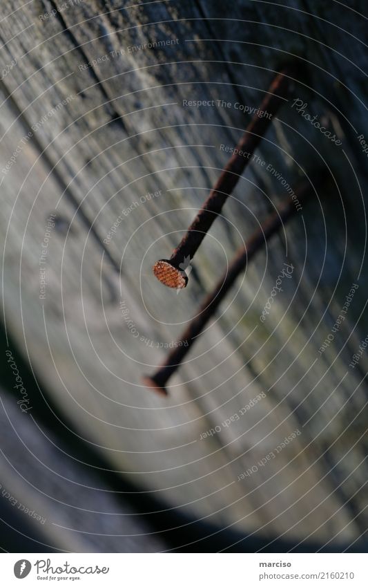 nailed Nail Pole Wood Metal Rust Blue Brown Gray Exterior shot Abstract Contrast