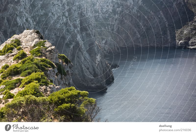 Mallorca I Nature Landscape Plant Earth Water Summer Beautiful weather Bushes Rock Coast Bay Ocean Mediterranean sea Island Majorca Dark Fresh Cold Warmth Blue