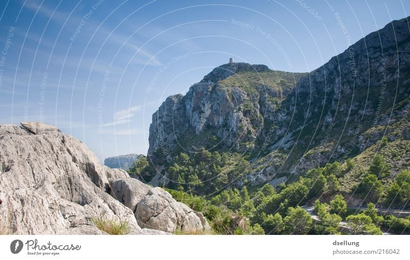 Mallorca V Environment Nature Landscape Plant Earth Sky Beautiful weather Tree Grass Bushes Forest Rock Mountain Island Majorca Esthetic Sharp-edged Elegant