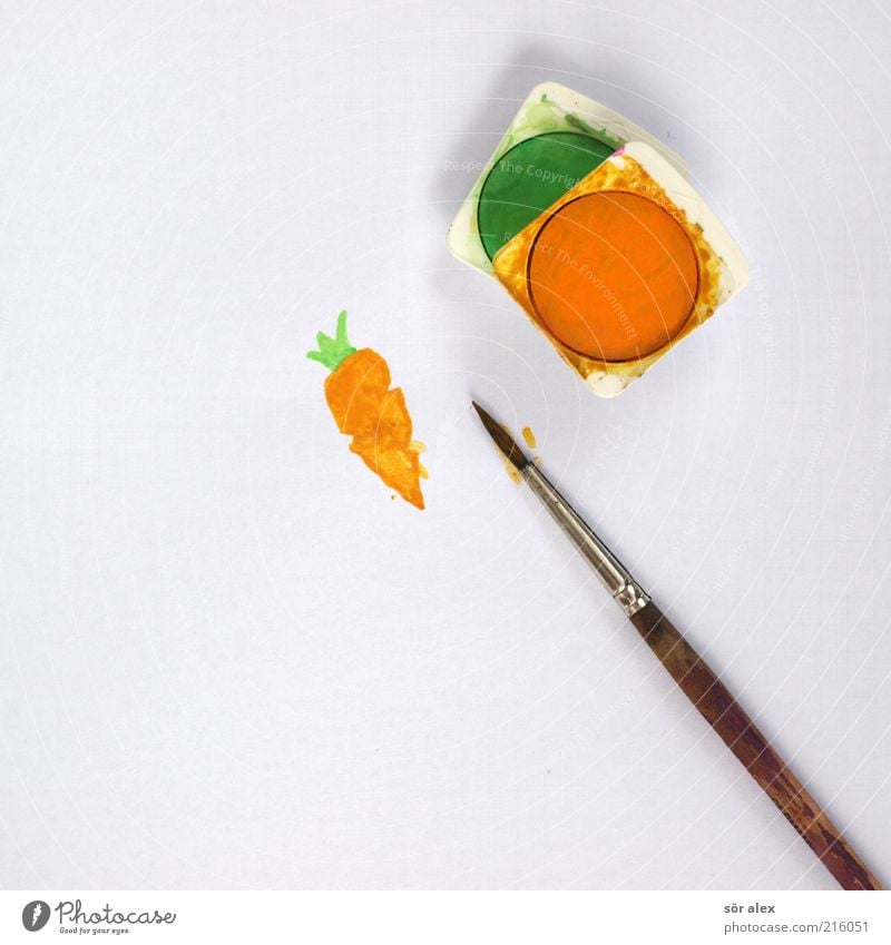 carrots - 00 Food Vegetable Nutrition Organic produce Vegetarian diet Carrot Paper Paintbrush Brush handle Watercolor Delicious Beautiful Green White Joy