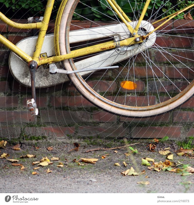 [HH10.1] - Air raid Bicycle Leaf Wall (barrier) Wall (building) Brick Flying Hang Tall Yellow Wheel Sidewalk Pedal Wheel rim Spokes Hover optical illusion Guard