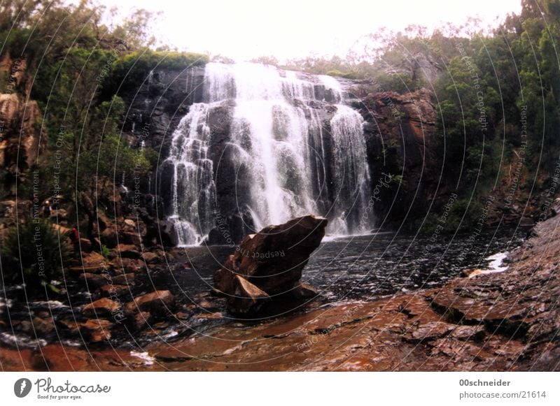 waterfall Lake Virgin forest Australia Wet Waterfall Rock Stone