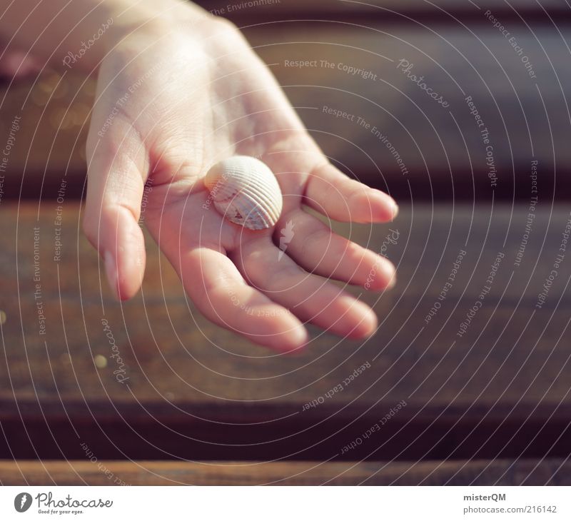 Beach find. Nature Mussel Hand Indicate Vacation & Travel Vacation photo Peaceful Fingers Find Blur Infancy Air Colour photo Subdued colour Exterior shot