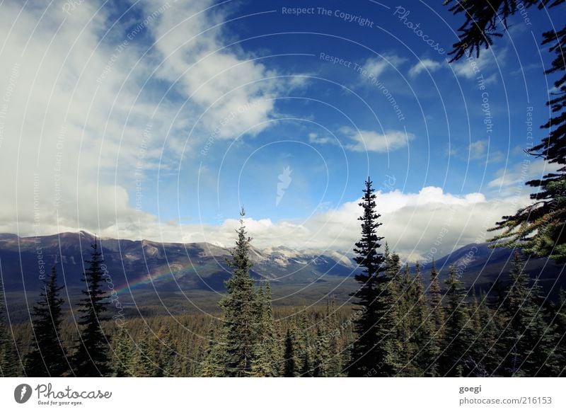 weather change Environment Nature Landscape Plant Sky Clouds Summer Weather Beautiful weather Rain Tree Forest Mountain Rocky Mountains Peak Snowcapped peak