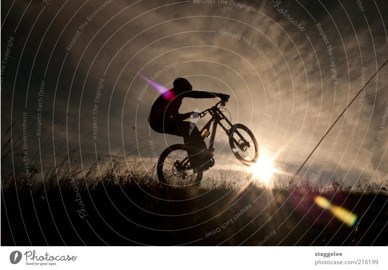 mountain bike ski Sports Cycling Driving Mountain biking Mountain bike Subdued colour Exterior shot Twilight Back-light Meadow Grass Sky Clouds Sun Sunset