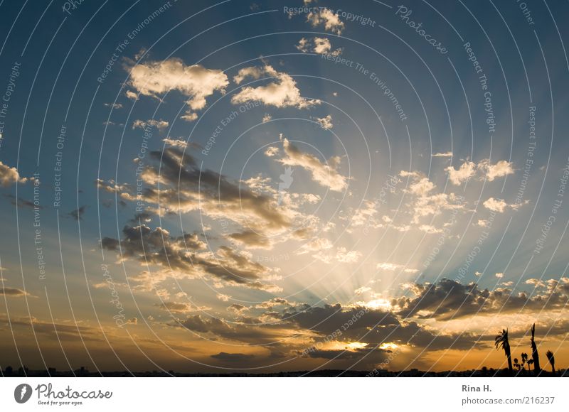 paradise lost Nature Landscape Sky Clouds Sunrise Sunset Autumn Illuminate Climate Colour photo Deserted Copy Space left Copy Space right Copy Space top