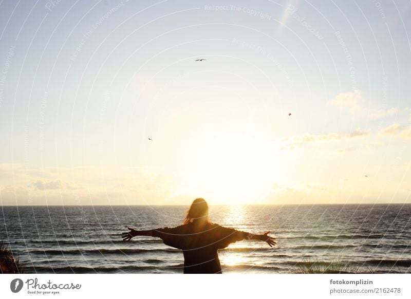 Woman standing with open arms in front of sunset by the sea Optimism Ocean Youth (Young adults) Human being Spirituality Longing Breathe Wanderlust Infinity