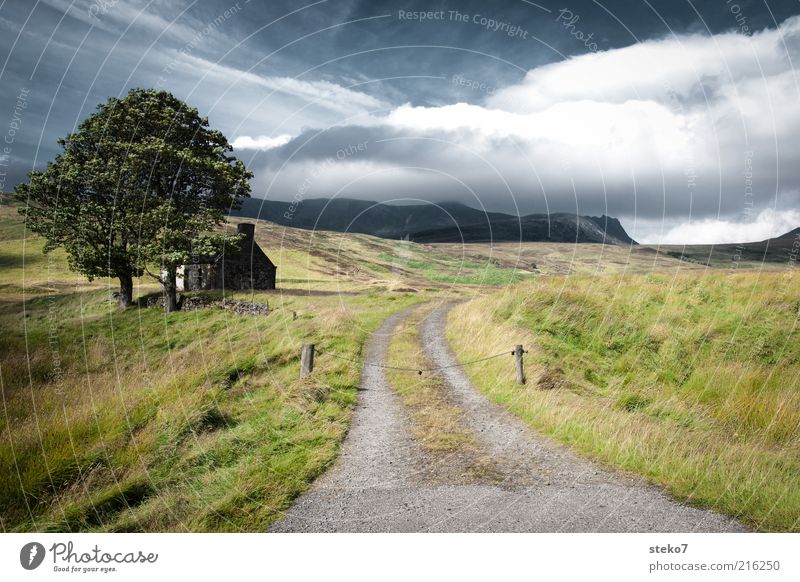 private property Landscape Clouds Beautiful weather Wind Tree Meadow Mountain Hut Ruin Lanes & trails Old Small Loneliness Highway ramp (entrance) Highlands