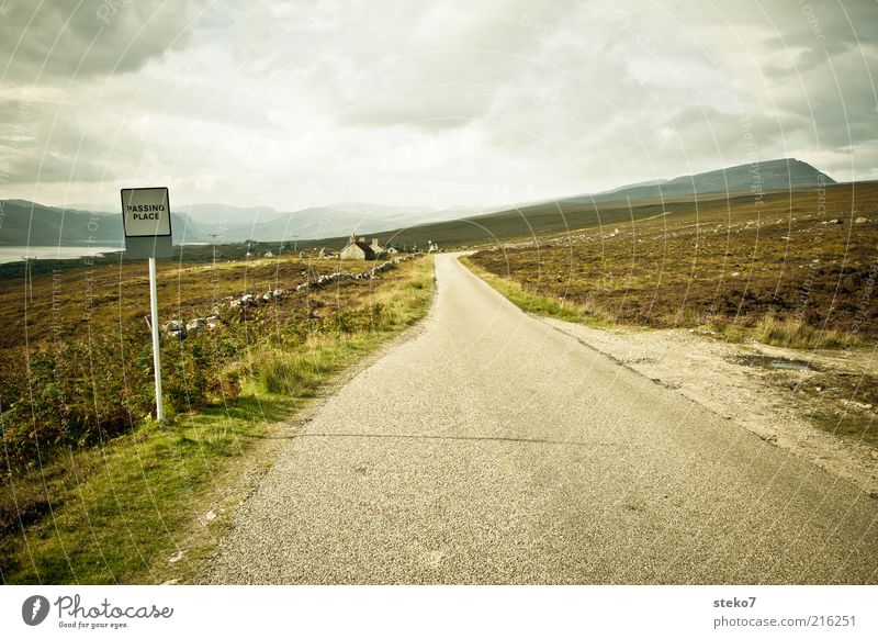 single road track Weather Wind Field Hill Highlands Village Street Loneliness Horizon fast lane Subdued colour Exterior shot Deserted Copy Space bottom Day