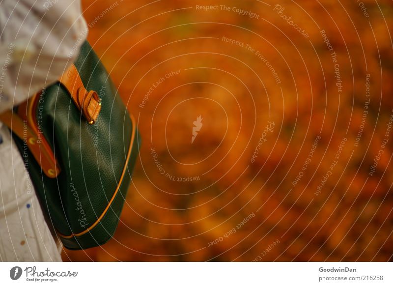 Autumn gold. III Bag Early fall Autumnal Beautiful Brown Moody Colour photo Exterior shot Shallow depth of field Handbag Copy Space right Neutral Background