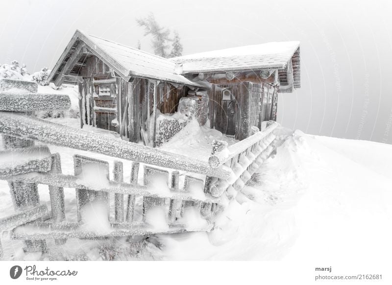 Gemma auf a Schnapserl in the snow-covered hut on the mountain Winter Hut Barn Alpine hut Wooden fence Exceptional Cold Frozen Snow Idyll Colour photo