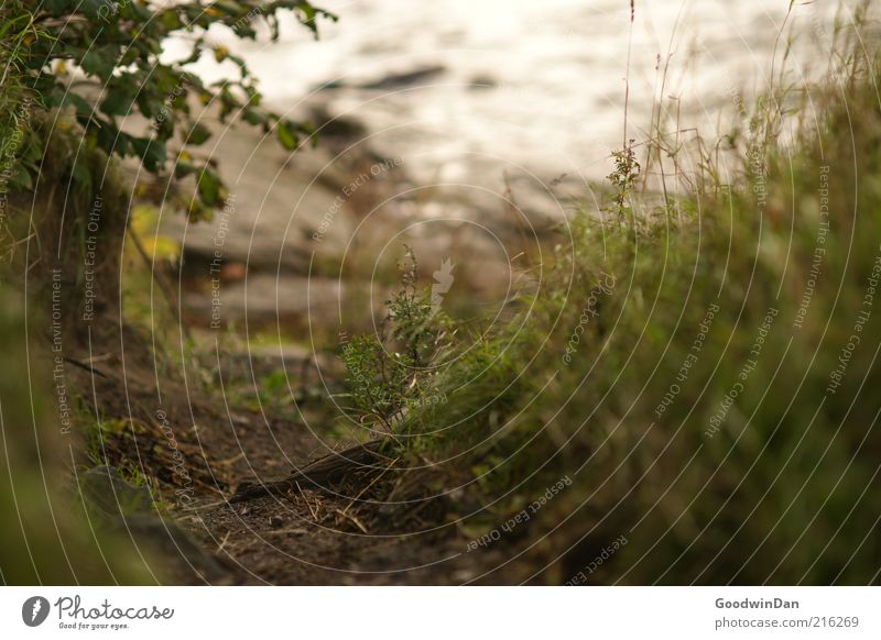 sea scent Environment Nature Elements Earth Water Coast Ocean Moody Colour photo Exterior shot Deserted Twilight Shallow depth of field