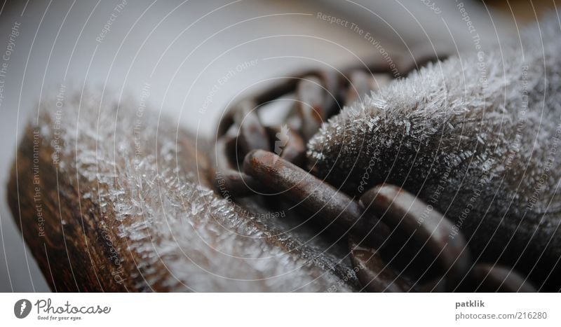 chain frost Firm Cold Near Power Chain Ice Wood Playground Connection Winter Blur Colour photo Exterior shot Day Frozen Iron Chain link Deserted