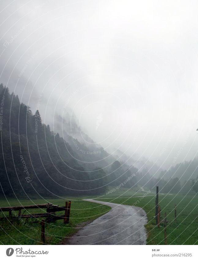 Dream path? Nature Bad weather Fog Rain Meadow Alps Mountain Fragrance Cold Wet Green Moody Calm Loneliness Oberstdorf pedal valley Lanes & trails