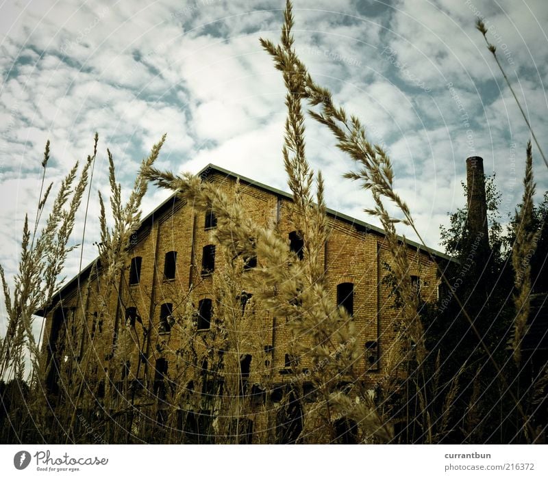 There's a house in east berlin. Stagnating Decline Past Transience Chimney Clouds Blue Yellow Brick Brickyard Factory Factory hall Colour photo Subdued colour