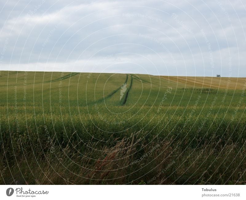 furrows in the field Field Tractor track Mountain Grain Sky