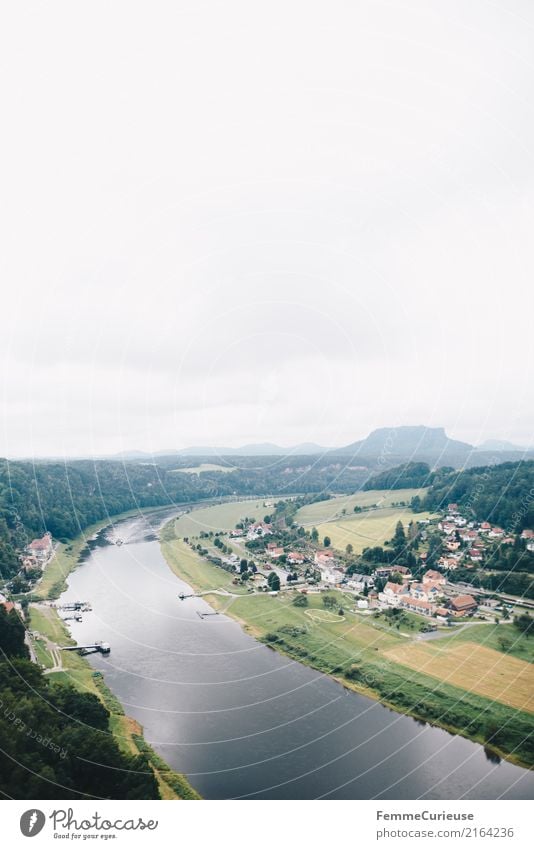 Hiking (17) Nature Saxon Switzerland Elbe Vantage point Health resort Aerial photograph River Water Forest Village Small Town Idyll Destination Colour photo