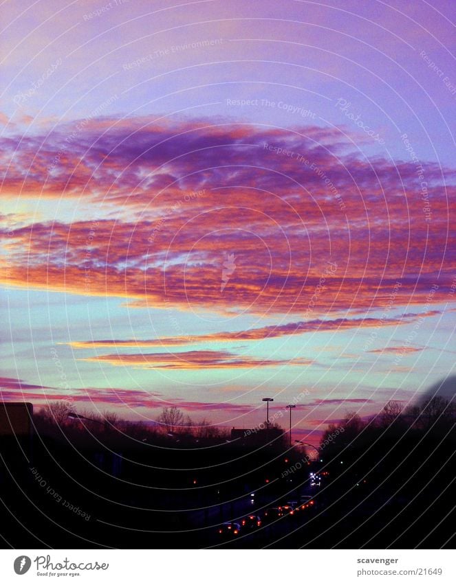 horizon Tree Sunrise Sunset Red Dark Clouds Moody Horizon Street Light Evening Blue Bright Lanes & trails