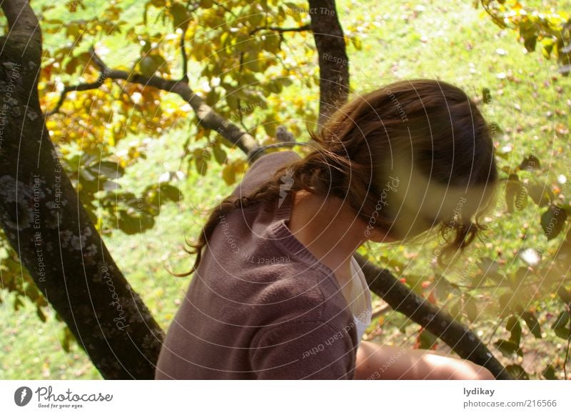 imagine. Feminine Young woman Youth (Young adults) Hair and hairstyles 1 Human being Nature Sunlight Autumn Beautiful weather Tree Leaf Beech tree Park Meadow