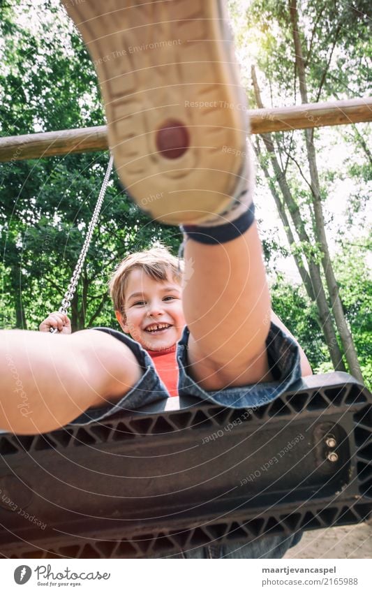 Little boy on a swing in the park Leisure and hobbies Playing To swing Human being Masculine Child Boy (child) Infancy Life 1 3 - 8 years Summer Park Blonde