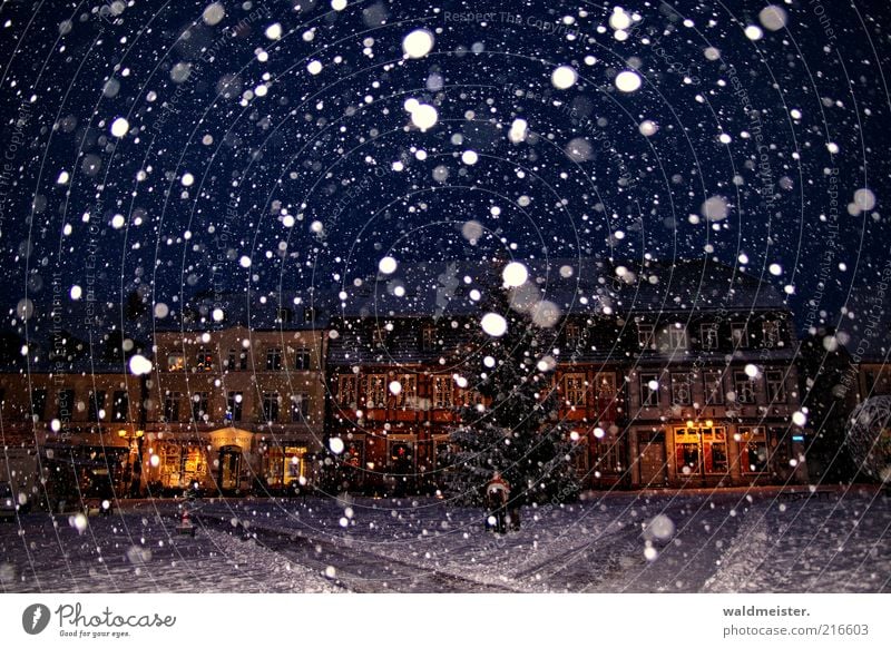 Soon it will be Christmas Winter Snow Snowfall Small Town House (Residential Structure) Marketplace Blue Brown Moody Anticipation Christmas tree Colour photo