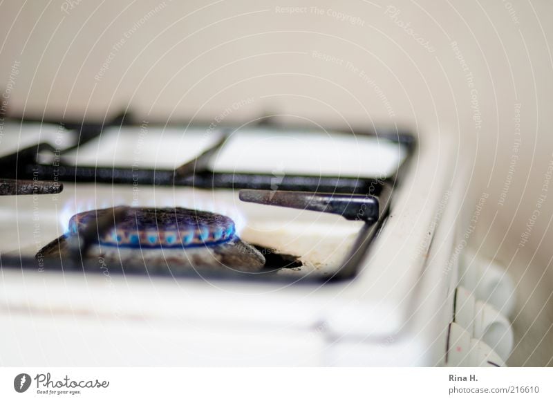 pilot flame Stove & Oven Old Hot White Energy Flame Gas stove Burn Fuel Fossil Deserted Copy Space top Shallow depth of field Gas flame Section of image Detail