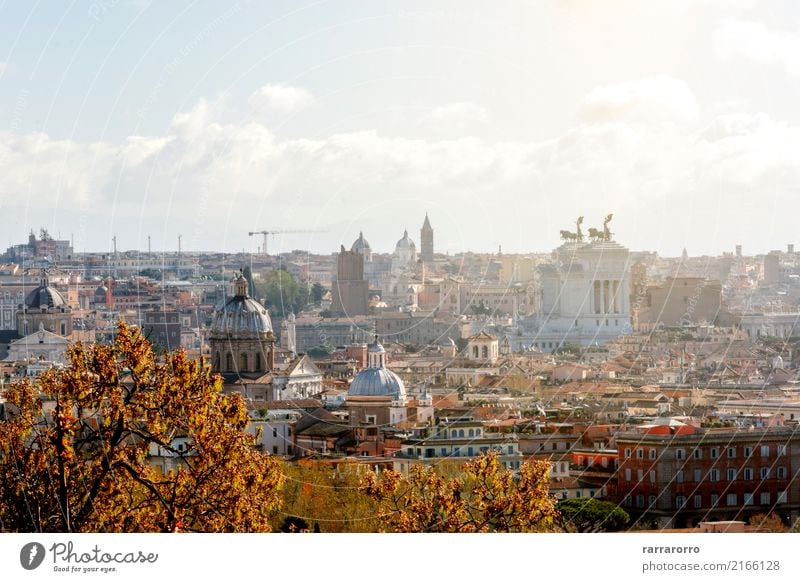 aerial view over rome taken from gianicolo hill Beautiful Vacation & Travel Tourism Nature Landscape Sky Tree Hill River Church Building Architecture Monument