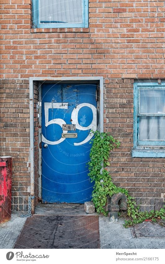 Short-sighted postman? New York City House (Residential Structure) Architecture Wall (barrier) Wall (building) Door Mailbox Digits and numbers Old Authentic