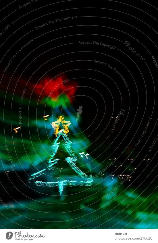 Christmas tree Decoration Feasts & Celebrations Festive Lighting Sign Star (Symbol) Glittering Illuminate Exceptional Happiness Anticipation Colour photo