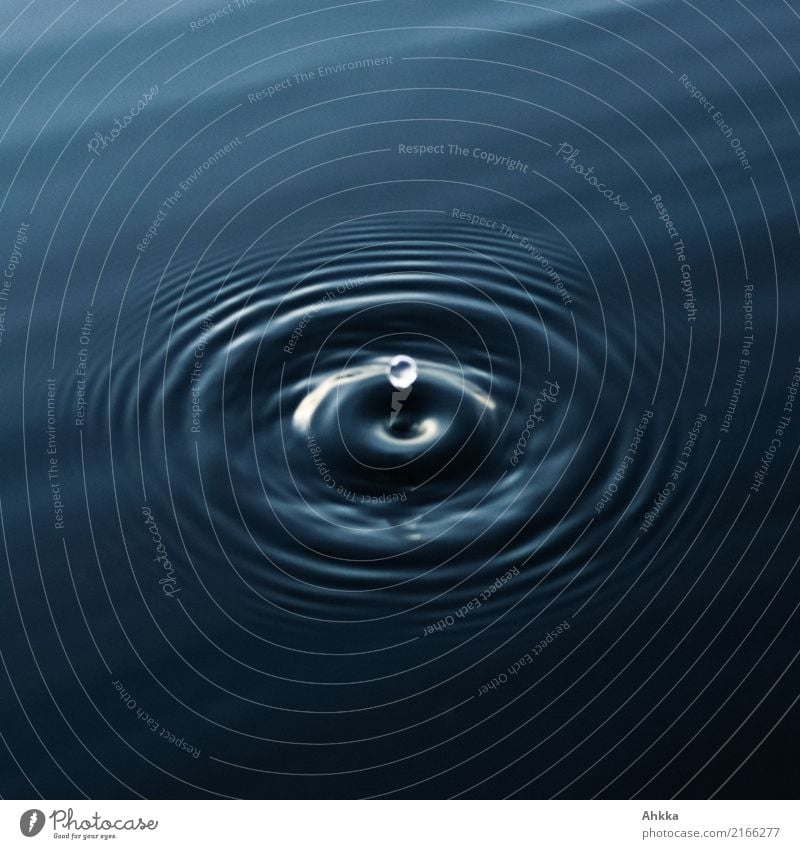 Round water drop jumps on dark water surface Health care Wellness Harmonious Well-being Senses Relaxation Calm Meditation Spa Study Academic studies