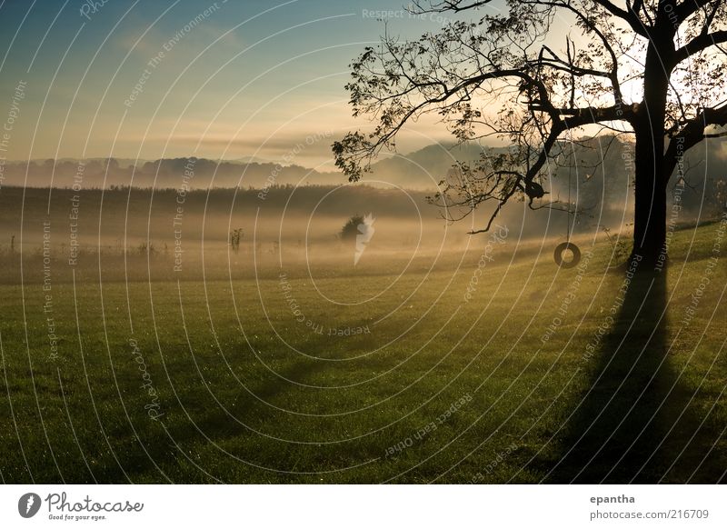 Tennessee Landscape Sun Island Nature Sky Horizon Sunlight Autumn Fog Tree Grass Hill Cool (slang) Beautiful Blue Gray Green walnut silhouette farm Tire swing