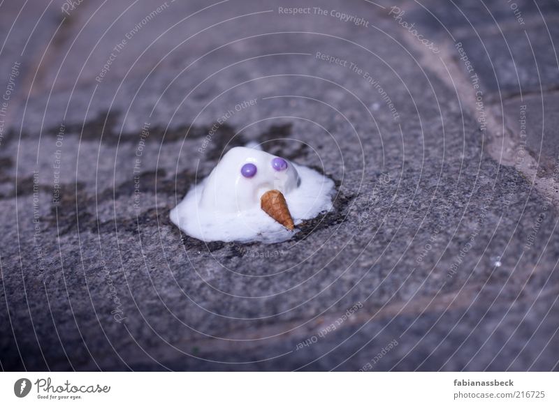 Winter, goodbye! Dessert Ice cream Candy Sadness Fluid Broken Sweet Emotions Moody Compassion Humble Grief Death Pain Creativity Transience Colour photo