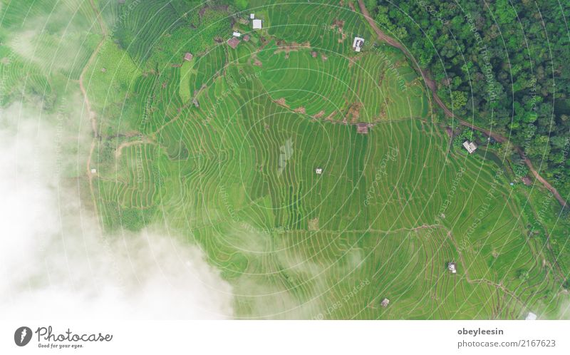 Top view of the rice paddy fields in northern Thailand Calm Vacation & Travel Tourism Trip Summer Mountain Environment Nature Landscape Plant Beautiful weather