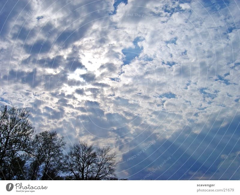 heaven Clouds Sunbeam White Light Images of the heavens Low cloud Horizontal clouds Lighting Blue Bright Sky Lake Constance