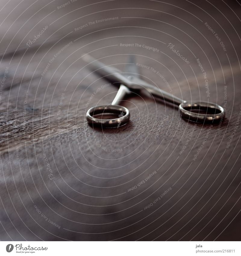 scissors Scissors Tool Metal Brown Silver Colour photo Interior shot Deserted Copy Space bottom Neutral Background Shallow depth of field 1 Lie Cut Cutting tool