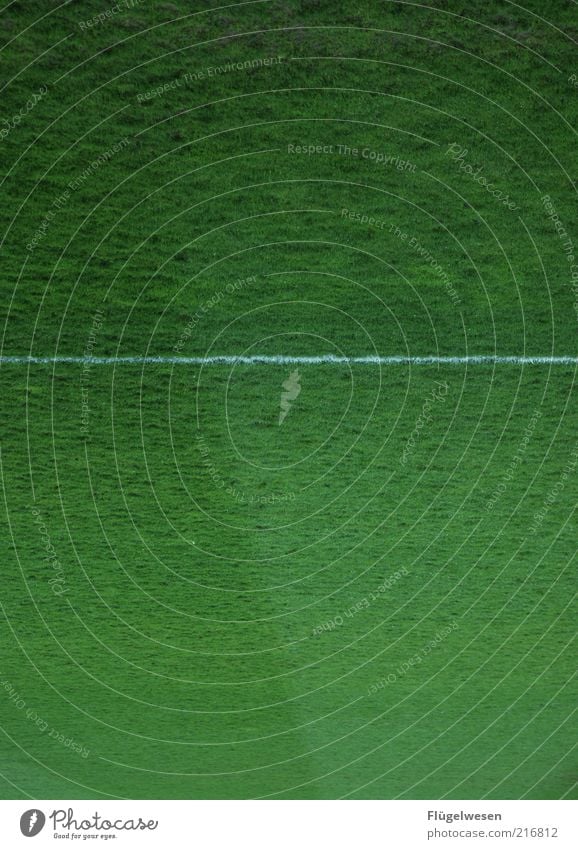 Christoph Daum Sports Ball sports Sporting Complex Football pitch Line Sideline Soccer Colour photo Exterior shot Day Grass surface White Green Detail Deserted