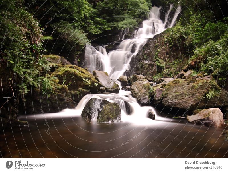 Killarney waterfalls II Nature Landscape Plant Water Spring Summer Tree Moss Foliage plant Forest Rock Lake Brook River Waterfall Brown Green Long exposure Flow