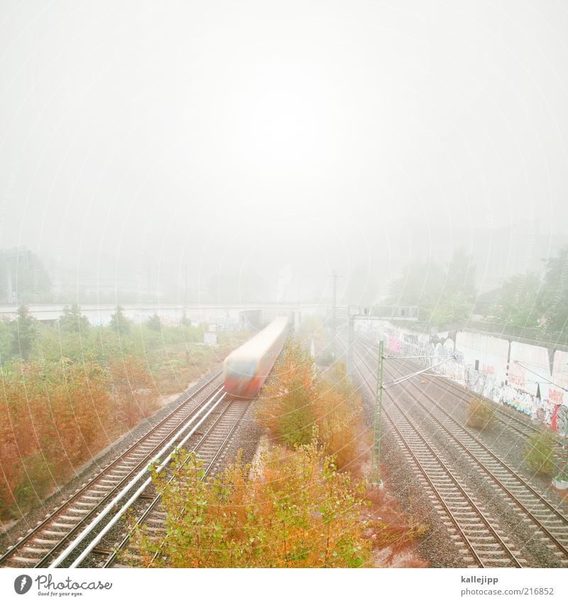 autumn timetable Sky Autumn Fog Tree Bushes Transport Means of transport Traffic infrastructure Passenger traffic Public transit Rail transport Train travel