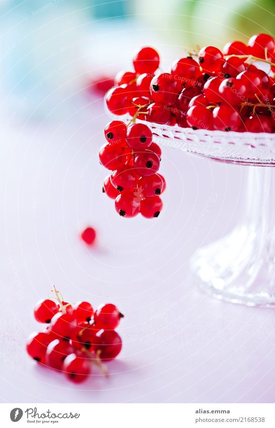 Red Currants Food Fruit Berries Nutrition Vegetarian diet Diet Fresh Juicy Sweet Pink Turquoise Colour photo Interior shot Close-up Detail