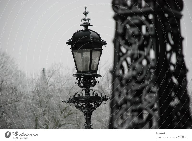 Hamburg in ice Winter Ice Frost Park Historic Beautiful Gray Black White Moody Colour photo Exterior shot Detail Deserted Copy Space left Day