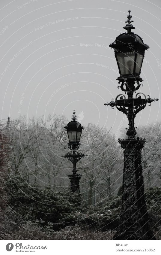 Garden of Ice Deserted Park Cold Colour photo Exterior shot Neutral Background Day Central perspective Lantern Old Old fashioned Street lighting Wrought iron